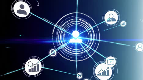 business network and collaboration visualization