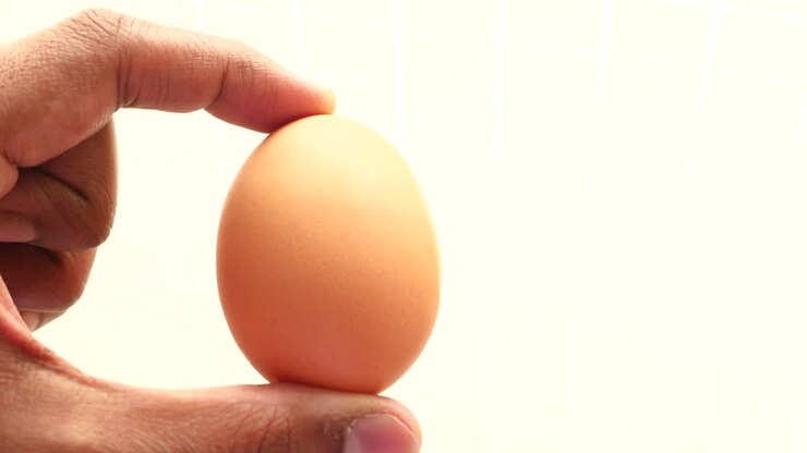 Hand Holding a Brown Egg