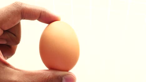 hand holding a brown egg