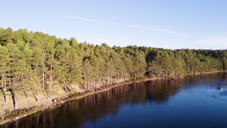 stunning aerial view of a calm loch surrounded by a lush pine forest in scotland