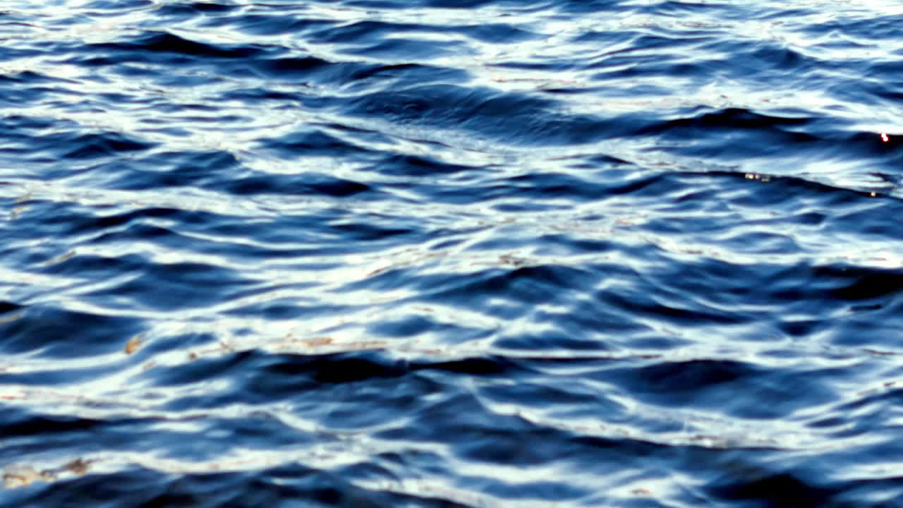 calm body of water ocean lake on a bright, sunny day; a close-up, horizontal view capturing the deep, rich blues of the water and the intermittent white and gold sparkles of sunlight catching crests