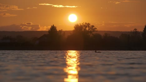 lakeside landscape with dark silhouette of park trees reflicted in lake water and distant walking pedestrian people on embankment at bright sunset