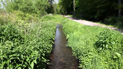 Un-Pequeño-Chorro-De-Agua-Fluye-A-Través-De-Una-Zona-Verde-Y-Exuberante