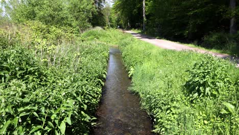 a small stream of water flows through a lush green area