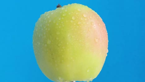 beautiful big juicy apple on a blue background. macro video