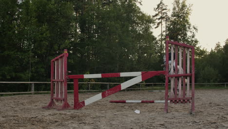 slow motion close up low angle: horsegirl riding strong brown horse jumping the fence in sunny outdoors sandy parkour dressage arena. competitive rider training jumping over obstacles in manege