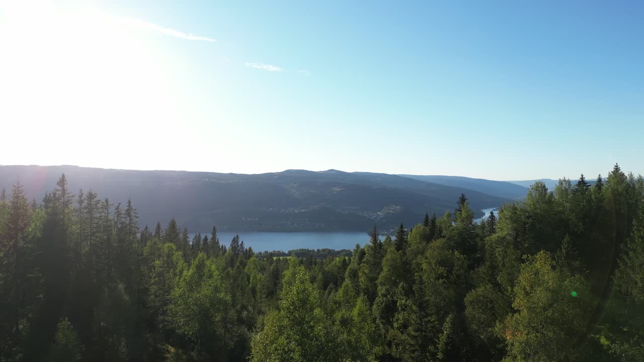 Drönare flyger nära över skogen mot en stor, långsamt flytande flod.