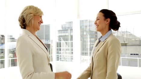 Smiling-businesswomen-shaking-hands