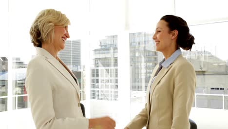 smiling businesswomen shaking hands