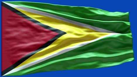 4k highly detailed flag of guyana - guyana flag high detail - national flag guyana wave pattern loopable elements