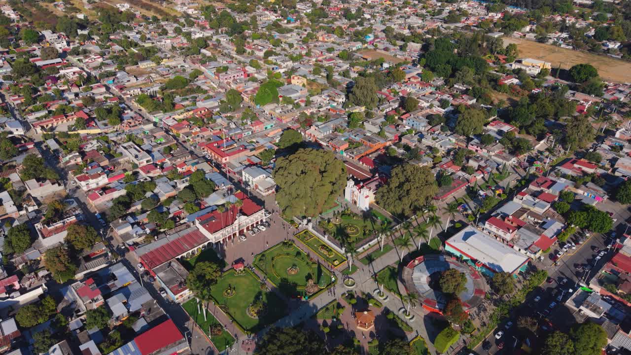 Riprese aeree che rivelano l'immenso tronco dell'albero del Tule a Oaxaca, in Messico