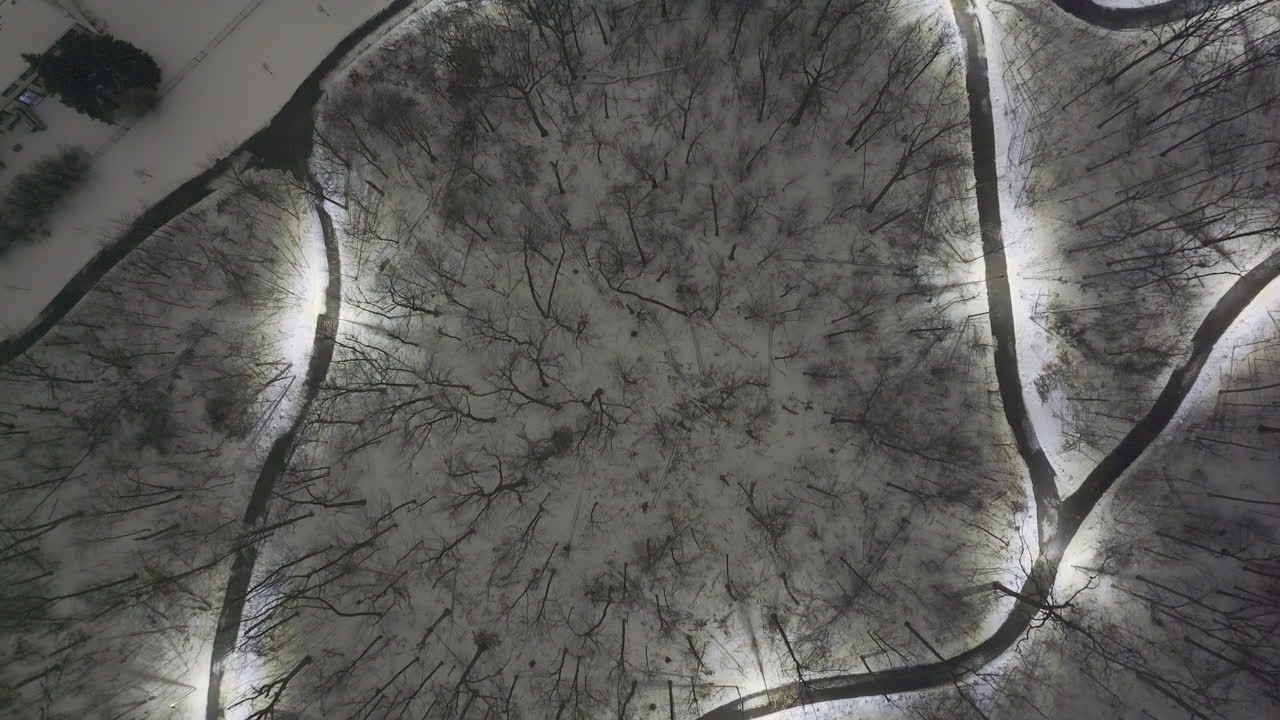 Alberi e strade innevate viste dall'alto a Meadowvale, catturando il silenzio invernale
