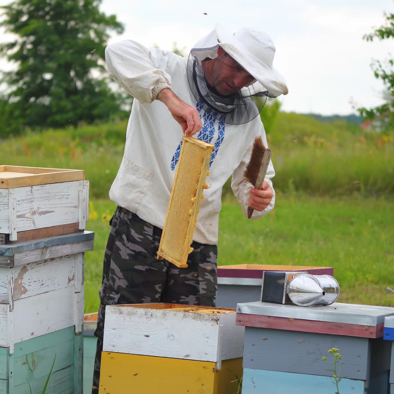 Beekeeper is working with bees and beehives on the apiary. Frames of a bee hive