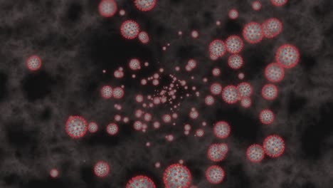células de coronavirus covid-19 enfermedad infecciosa en fondo negro. rápida transmisión de la enfermedad. alta concentración de coronavirus. bucle de renderización 3d 4k