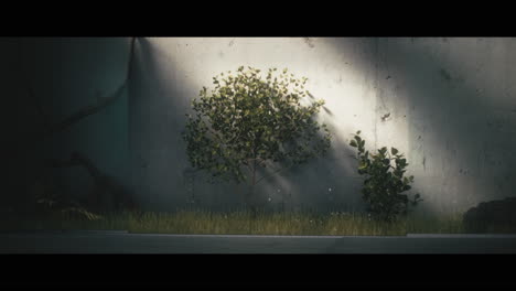 small tree in a modern concrete interior
