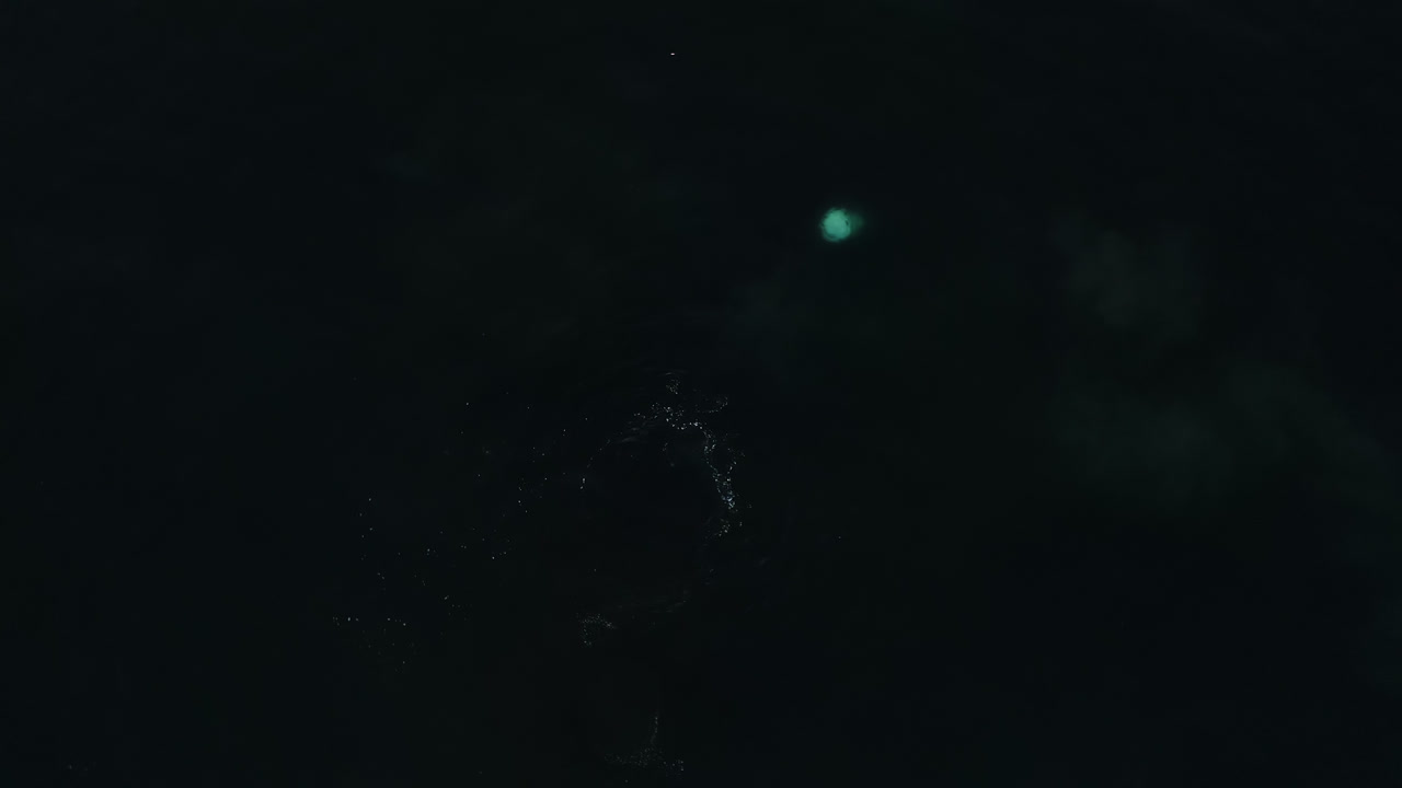 Aerial view of Gray Whale feeding shallow Pacific Ocean waters off Oregon Coast