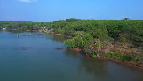 lush vegetation covering tropical island coast meeting calm ocean water and small sandy beach. smooth aerial view flight overflight flyover drone