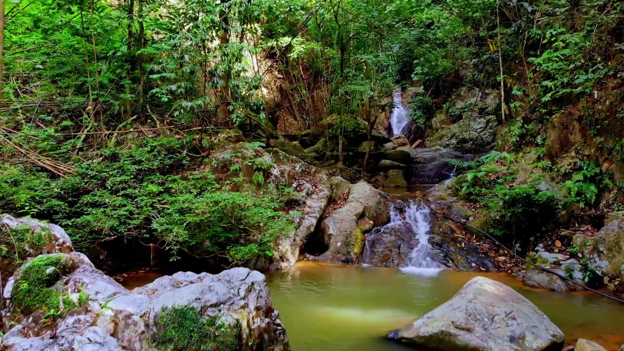 Toma de seguimiento hacia atrás alejándose de una suave cascada que cae sobre rocas cubiertas de musgo en una tranquila piscina natural rodeada de imponente y exuberante vegetación de selva tropical.