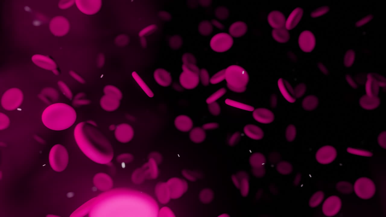 animación de los glóbulos rojos