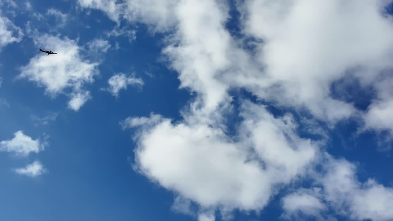 하 구름과 함께 파란 하늘