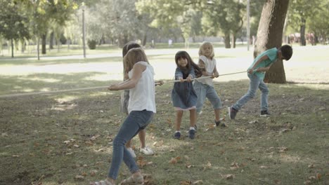 cute children playing tug-of-war, pulling rope together and having fun in the park