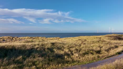 aerial shot flying over dunes with marram grass towards an empty beach and calm sea with wind turbines on the horizon, on a beautiful sunny day