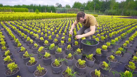 flower cultivation.