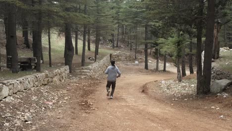 Hombre-Trotando-En-El-Bosque