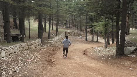 hombre corriendo en el bosque