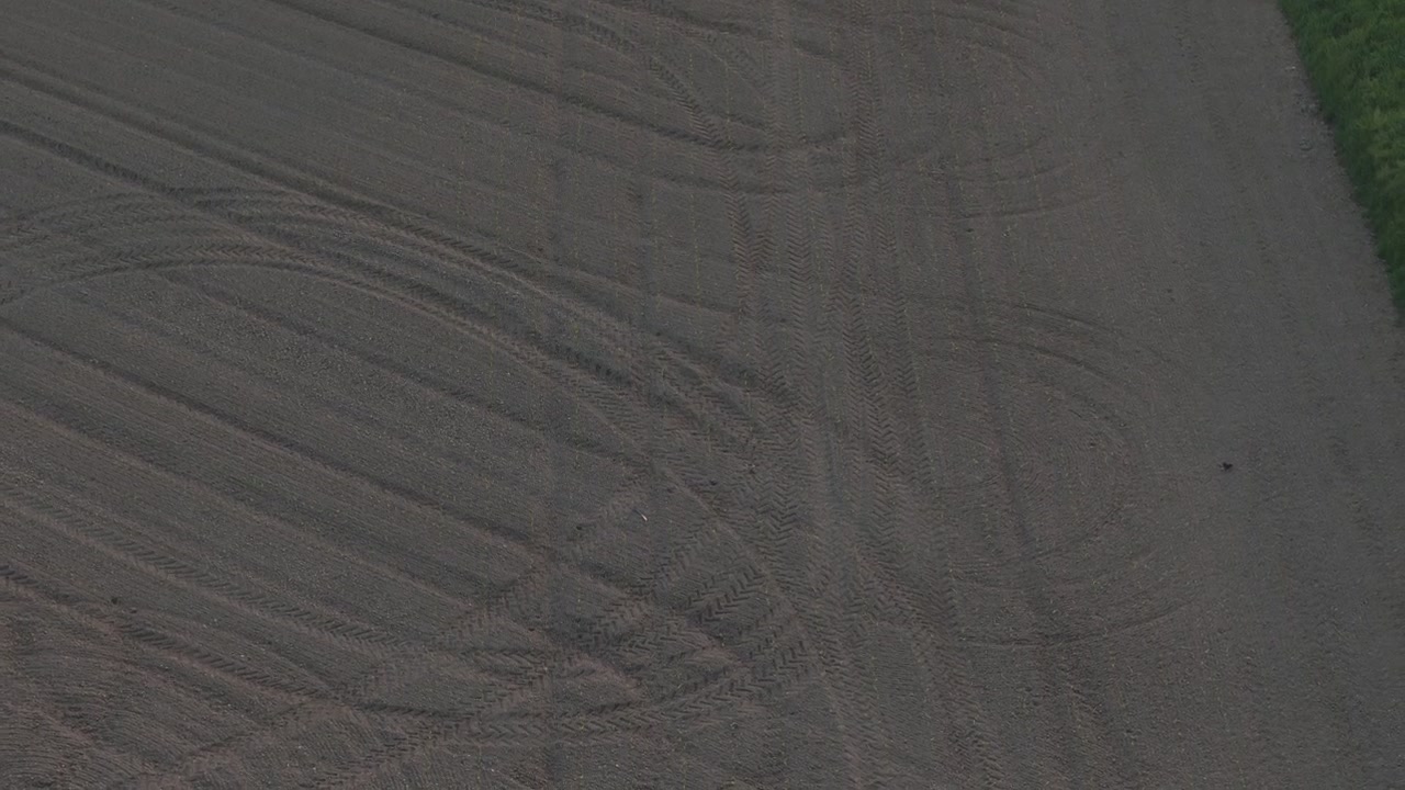 Cultivated farmland in the Po Valley near Cremona, Lombardy, Italy, revealing parallel tractor tracks, field edge, mature trees and textured tilled soil, top-down drone flyover.