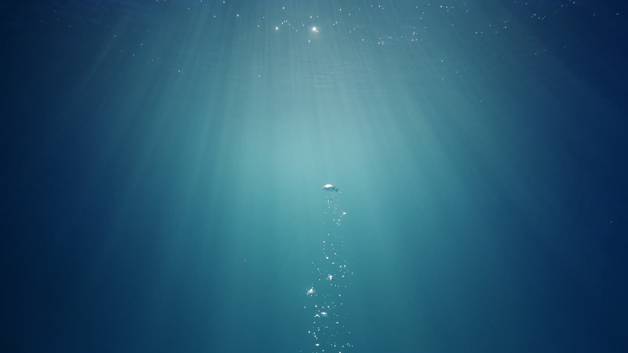 깊고 맑은 청록색 물을 통해 빛나는 햇빛 광선은 기포가 물 표면으로 올라가는 아름다운 조명 반사 커튼을 만듭니다.