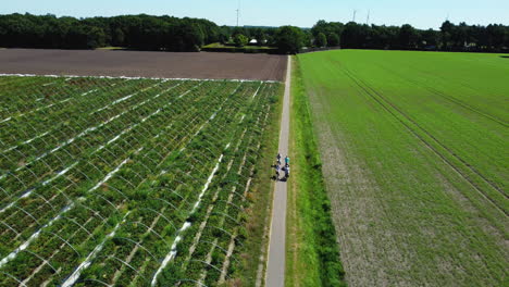 aerial view of farmland with greenhouses and people biking