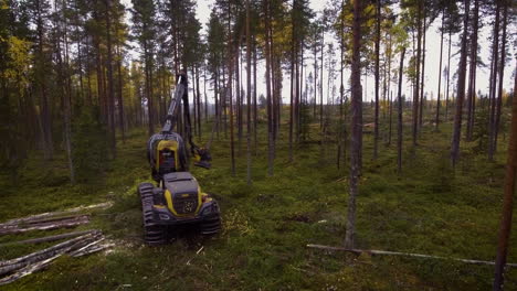 escorpión haciendo trabajo forestal