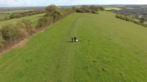 Toma-Aérea-De-La-Pareja-Madura-Y-El-Perro-A-Caminar-En-El-Campo