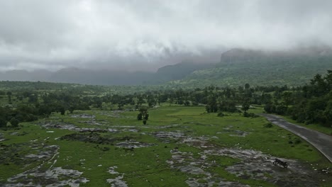a breathtaking drone view of bhandardara, maharashtra, india, showcases lush green fields, misty mountains, and monsoon fog drifting through the landscape 4k