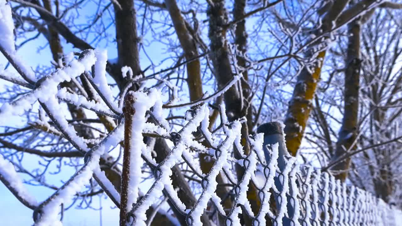 Frostigt kedjelänkstängsel täckt med snö och rimfrost en kall vinterdag, med suddiga träd och blå himmel i bakgrunden, som visar en vacker vinterscen i extrem detalj.