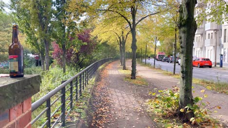 a typical autumn day in berlin with colorful trees and a beer bottle