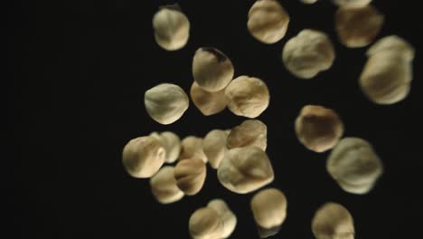 hazelnuts on black background fly through the air in slow motion