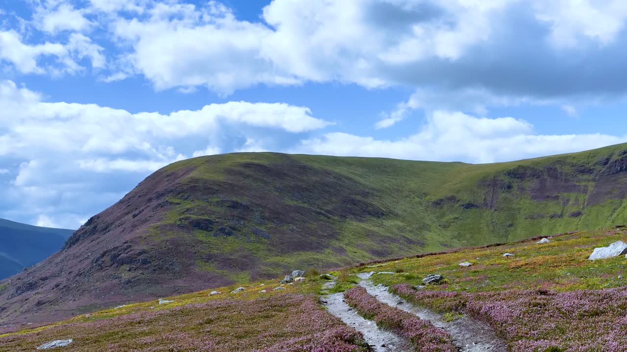 Camera glides along a scenic mountain trail, revealing vibrant heather, wildflowers, and rolling hills