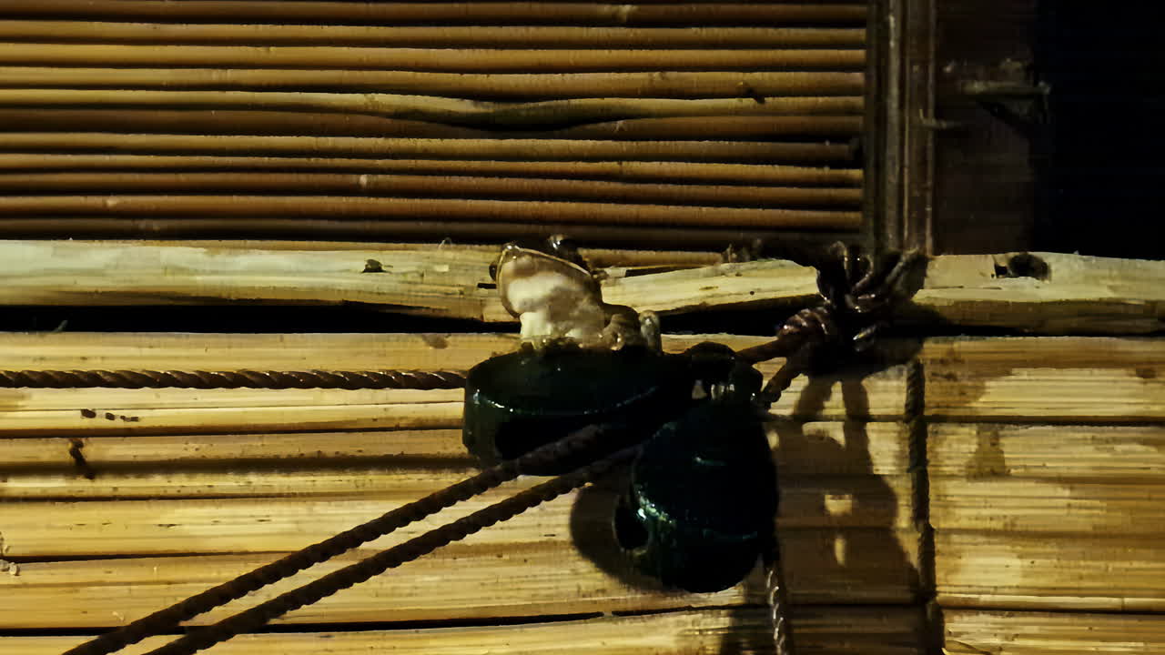 Frog Sitting Still on Structure at Night in Kuta Selatan Bali Indonesia