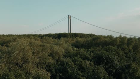 forestland with the braila suspension bridge in galati, romania. aerial drone shot