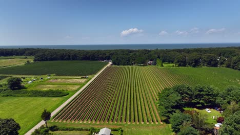 an aerial view of a vineyard in the hamptons, new york on a sunny day