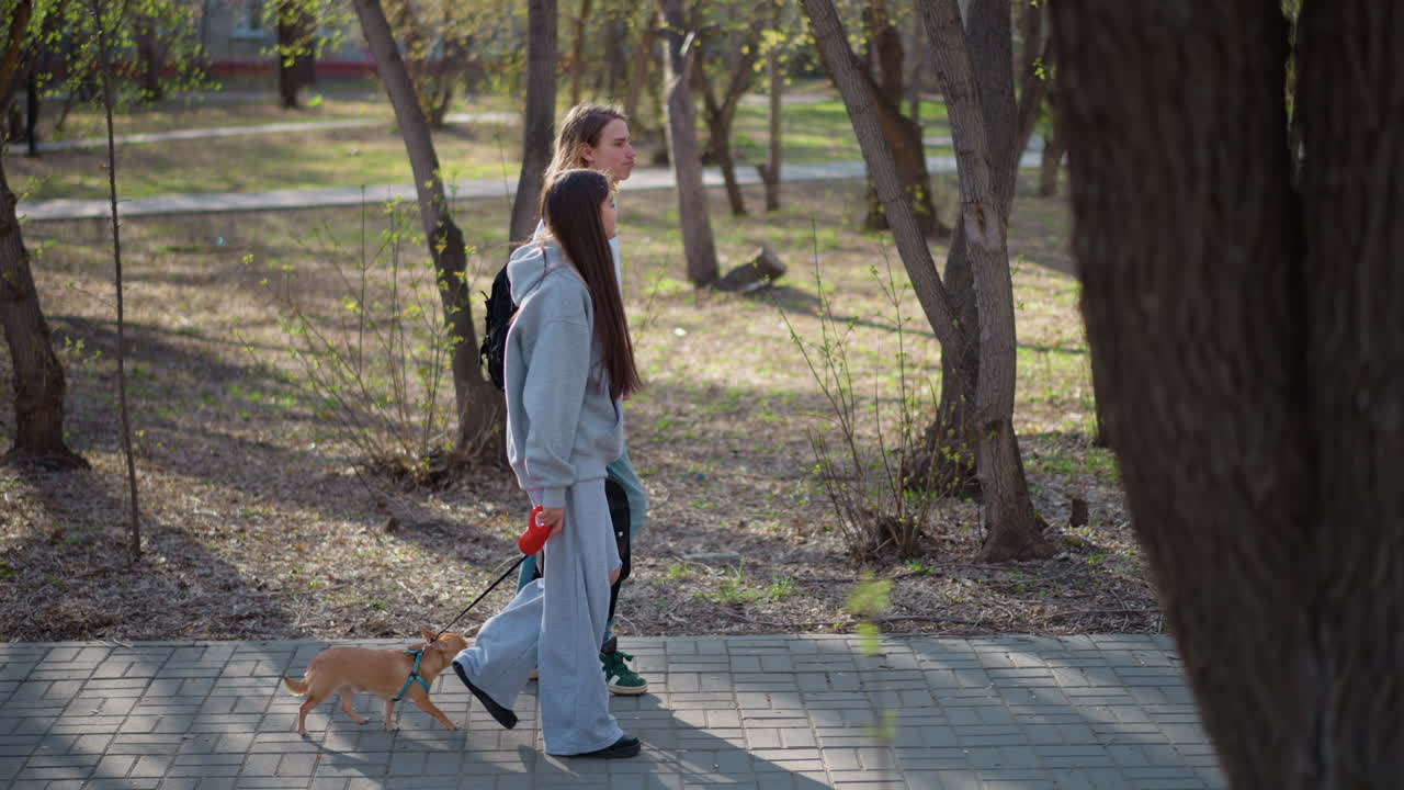 Escena en un parque con jóvenes paseando perros y fotógrafos buscando localizaciones, un entorno de parque animado con jóvenes paseando a sus perros y fotógrafos buscando ángulos perfectos.