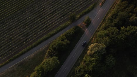 Aéreo:-Siga-Un-Automóvil-A-Través-De-Un-Hermoso-Viñedo-Durante-La-Puesta-De-Sol-En-Alemania