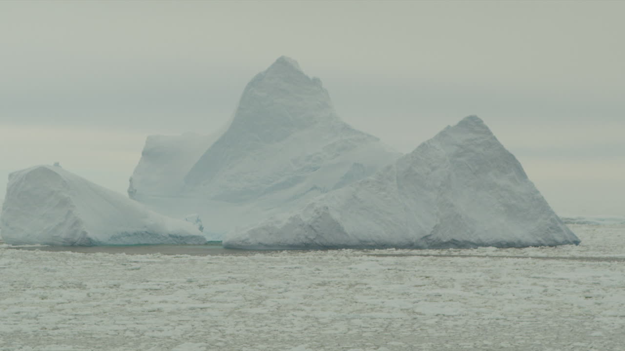 Iceberg and icefield