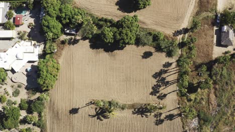 top view of the farm land in todos santos, a people work on the farmland for agriculture help on a sunny day in mexico
