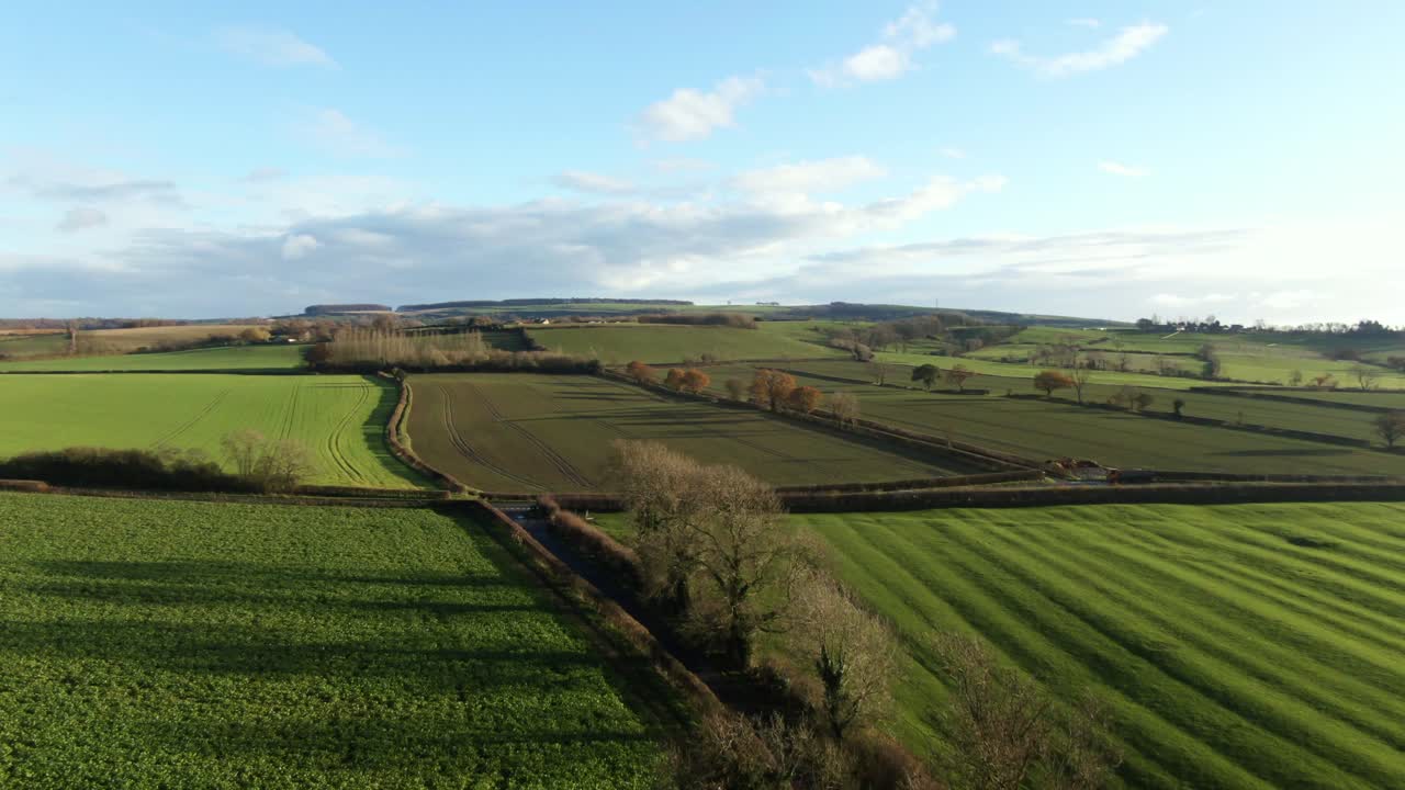Drone flying over winter leafless tree to reveal rolling green hills and sunny blue sky at golden hour casting orange glow and shadows over the hills in yorkshire england