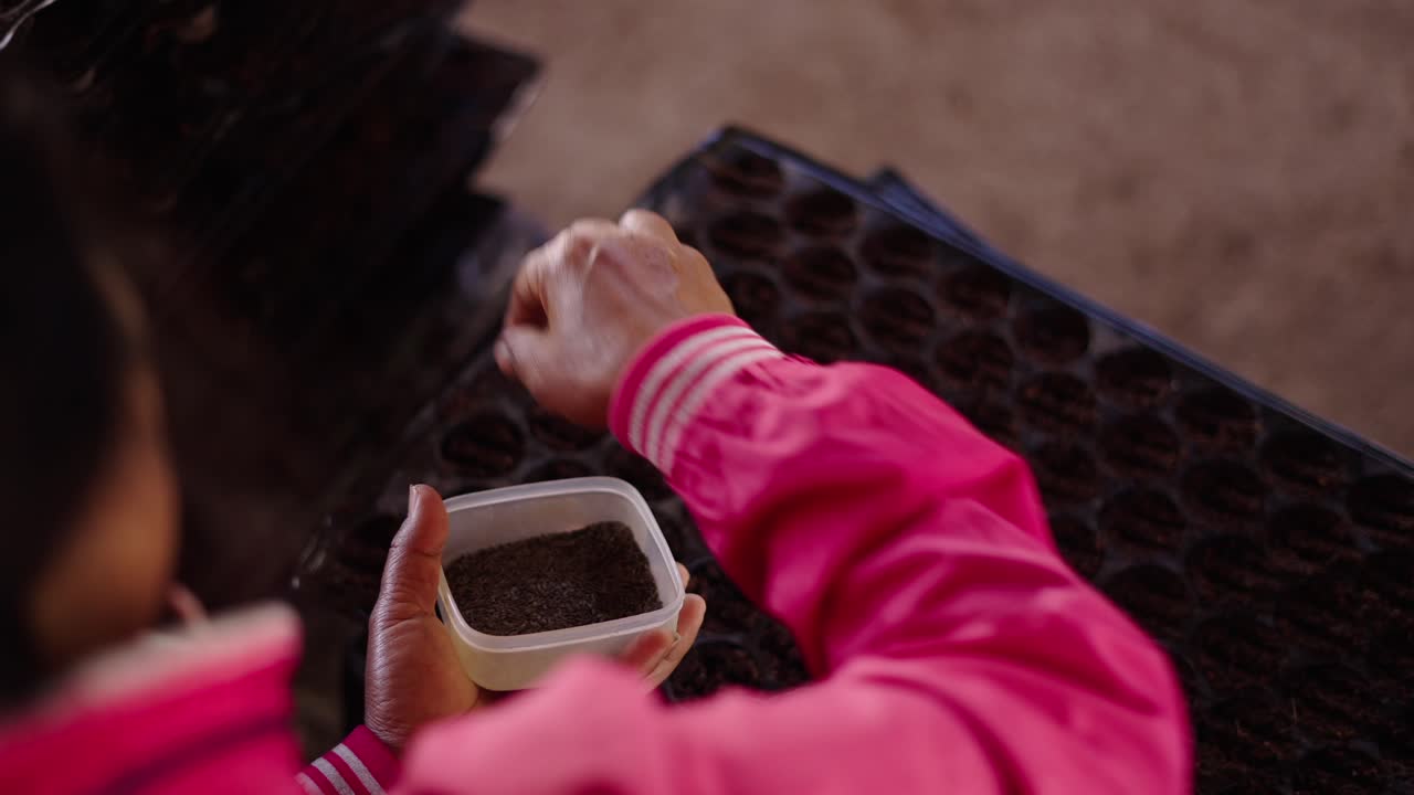 Person Planting Seeds in a Seed Tray