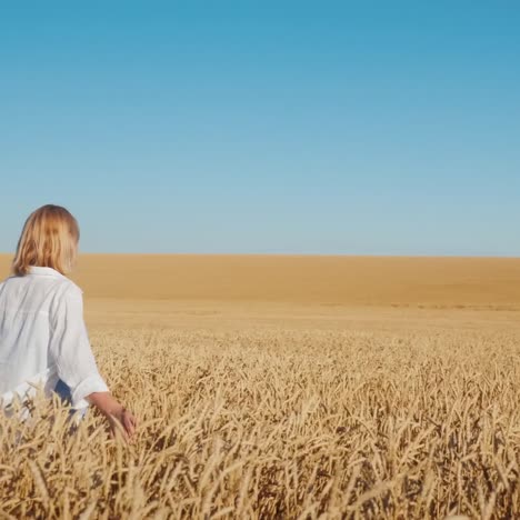 a young woman walks between endless wheat fields 2