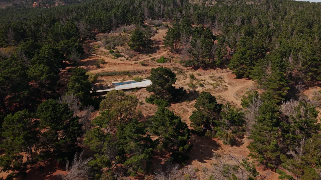 Panoramic aerial view of a pine forest on the coast of the Pacific Ocean of Chile, in Laguna Verde, Valparaiso with day light